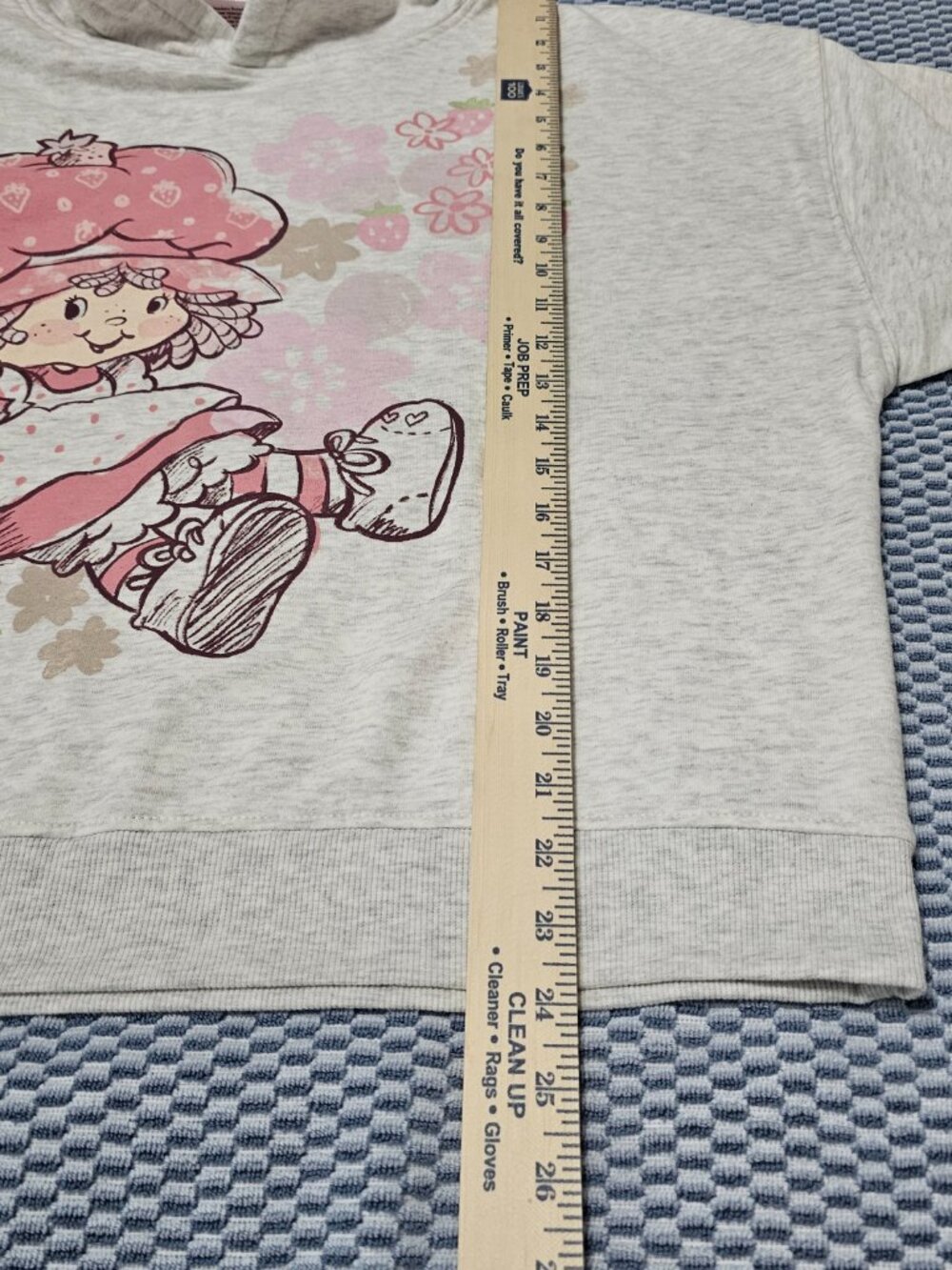 NEW Strawberry Shortcake Grey Pink Women's Graphic Sweatshirt Hoodie Size Large - Picture 7 of 7